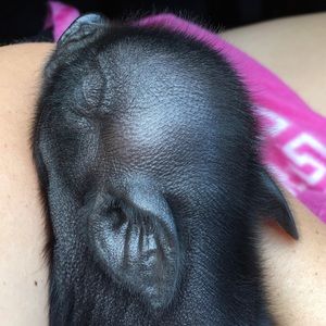 Meet your Posher, Brett